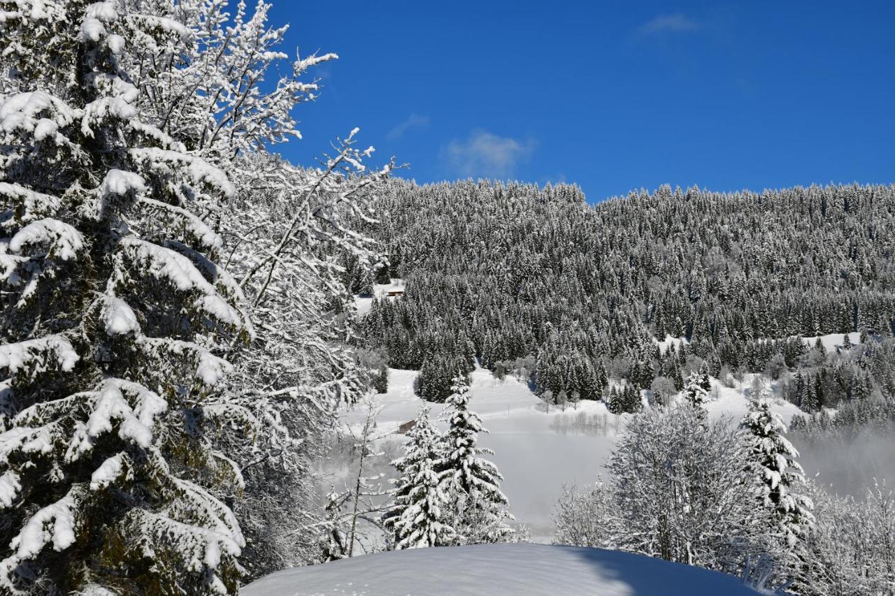 Chalet Orlando Les Gets Eksteriør bilde